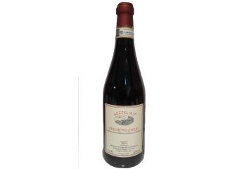 BRACHETTO D'ACQUI DOCG 2019 